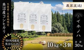 【令和7年産】 魚沼産コシヒカリ 「イネノハ 」精米(10kg×3) お米 白米 ご飯 産地直送 ミネラル 栄養分 こだわり 人気 新鮮 