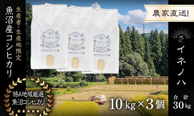 【令和7年産】 魚沼産コシヒカリ 「イネノハ 」精米(10kg×3) お米 白米 ご飯 産地直送 ミネラル 栄養分 こだわり 人気 新鮮 