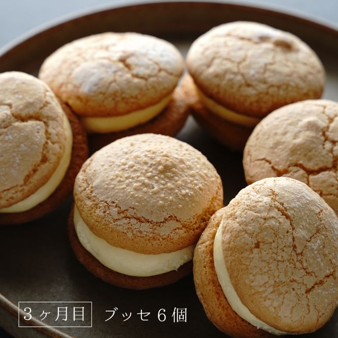 【定期便3ヶ月】弁天堂 スイーツ定期便（クッキーシュークリーム・エクレア・ブッセ）