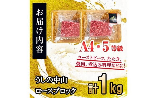 ロースブロック 計1kg(2P) e5-002
