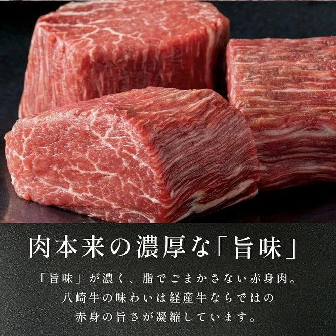 八崎牛のハンバーグ120g×5個【贈答向け】 N0105-YZA596