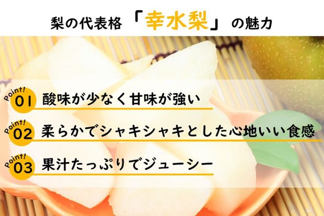 BH004 【令和9年度出荷分】【数量限定】 幸水梨 約2.5kg（5玉～8玉）[新鮮 農家直送 夏の味覚 フルーツ 贅沢宝庫 長崎県 島原市]