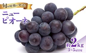 【2026年先行受付】 ぶどう ニューピオーネ 秀品 約2kg(3～5房) 岡山県産 ぶどう 葡萄 ブドウ ギフト 御礼 プレゼント 御礼 御祝 御供 果物 くだもの フルーツ