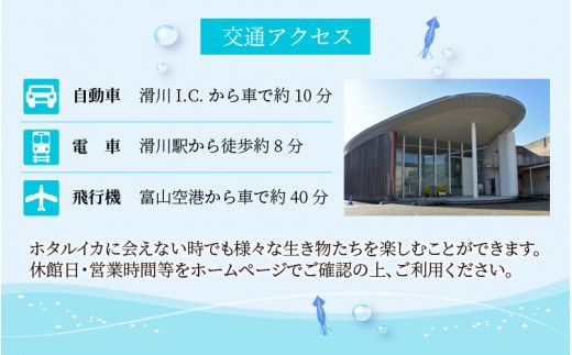ほたるいかミュージアム入館券 / 4枚