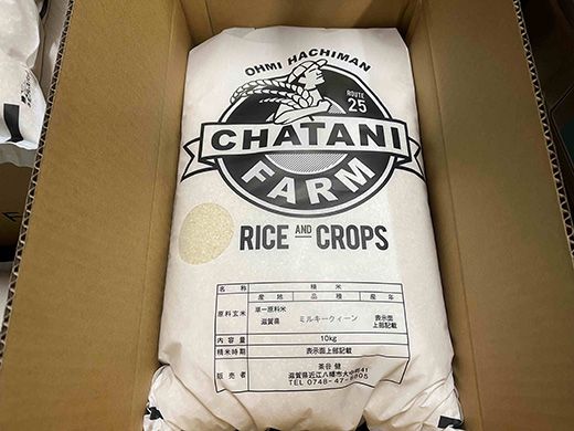 【新米】令和8年産　近江米　ミルキークイーン 白米【20kg（10kg×2袋）】【V015W1】（滋賀県　近江八幡市）