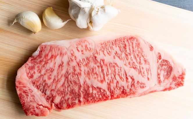 牛肉 サーロインステーキ 合計5kg 博多和牛 A4～A5 セット 250g×20枚 配送不可：離島 
