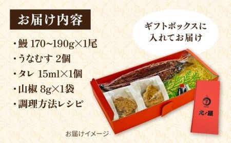 【年内発送】うなぎ 蒲焼き 1尾 ＆ うなむす 2個 セット 糸島市 / 北ノ屋うなぎ [ACL006] うなぎ 鰻 ウナギ 蒲焼き 白焼き 国産 蒲焼 タレ セット 詰め合わせ 贈答