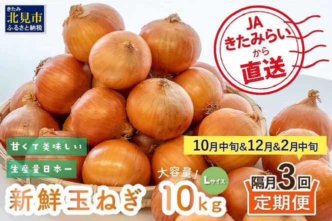 【隔月3回(10月・12月・2月)定期便】JAきたみらいから直送する新鮮玉ねぎ 10kg L玉 ( 野菜 定期便 玉葱 たまねぎ 期間限定 )【999-0147-2026】