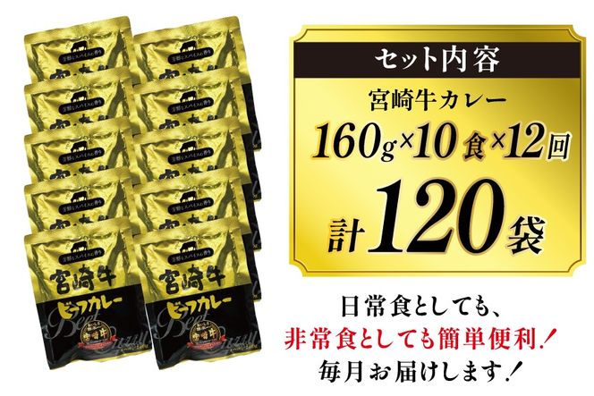 カレー 12回 定期便 レトルト 宮崎牛カレー 160g 10袋 総計120袋 [九州産商 宮崎県 日向市 452061840] 小分け ビーフカレー 宮崎 牛 常備食 保存食 中辛 宮崎牛 備蓄