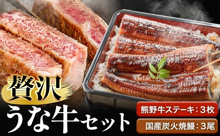 ステーキ 鰻 熊野牛 国産うなぎ 熊野牛ステーキと国産炭火焼鰻の贅沢うな牛セットB 計6食 株式会社Meat Factory[30日以内に出荷予定(土日祝除く)]和歌山県 日高川町 ロースステーキ 牛肉 肉 国産 うなぎ 送料無料---wshg_fmfy32_30d_24_65000_3p---