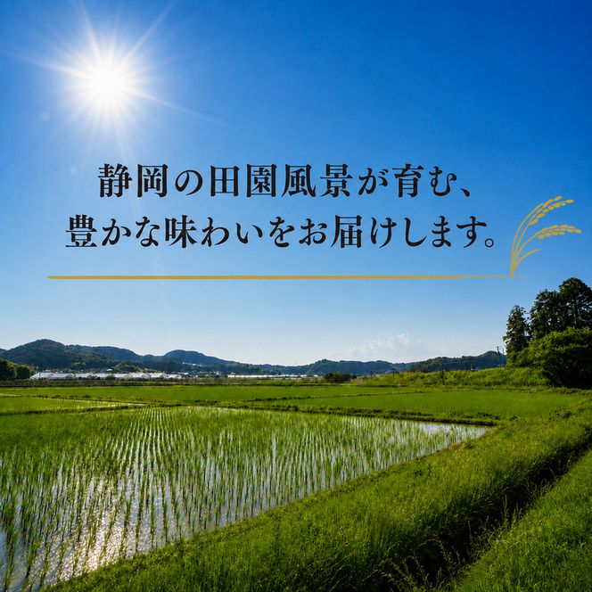 米 静岡きぬむすめ 5kg お米 白米 コメ 精米 きぬむすめ 静岡県産 袋井市 静岡県
