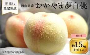 桃 2026年 先行予約 岡山県産 おかやま夢白桃 贈答用 1.5kg(4～6玉)　朝採れ　農家直送　限定20箱