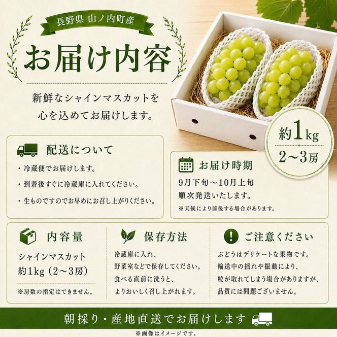 【2026年9月～発送】シャインマスカット約1kg 2～3房 長野県産