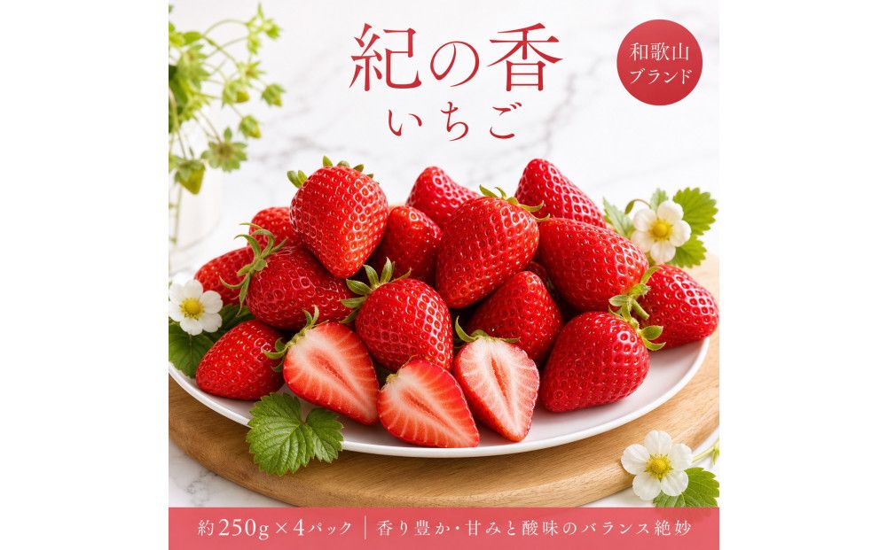 紀州和歌山ブランドいちご「紀の香」約250g×4P [UT143] 303446_XF91191
