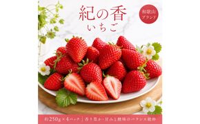 紀州和歌山ブランドいちご「紀の香」約250g×4P ［UT143］ 303446_XF91191
