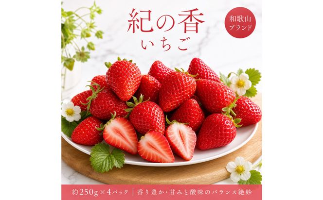 紀州和歌山ブランドいちご「紀の香」約250g×4P ［UT143］ 303446_XF91191