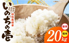 【R8年産新米 先行受付】特別栽培米「いのちの壱」（20kg）＜農家直送＞ ［208K04］ 希少米 20kg 米 新米 精米 白米 ご飯 国産 産地直送 甘い 粘り強い もちもち お取り寄せ こだわり米 愛知県 小牧市 送料無料