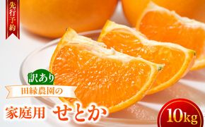 【先行予約】【家庭用】せとか 10kg ※離島への配送不可 （2027年3月5日より順次発送） IKTA038