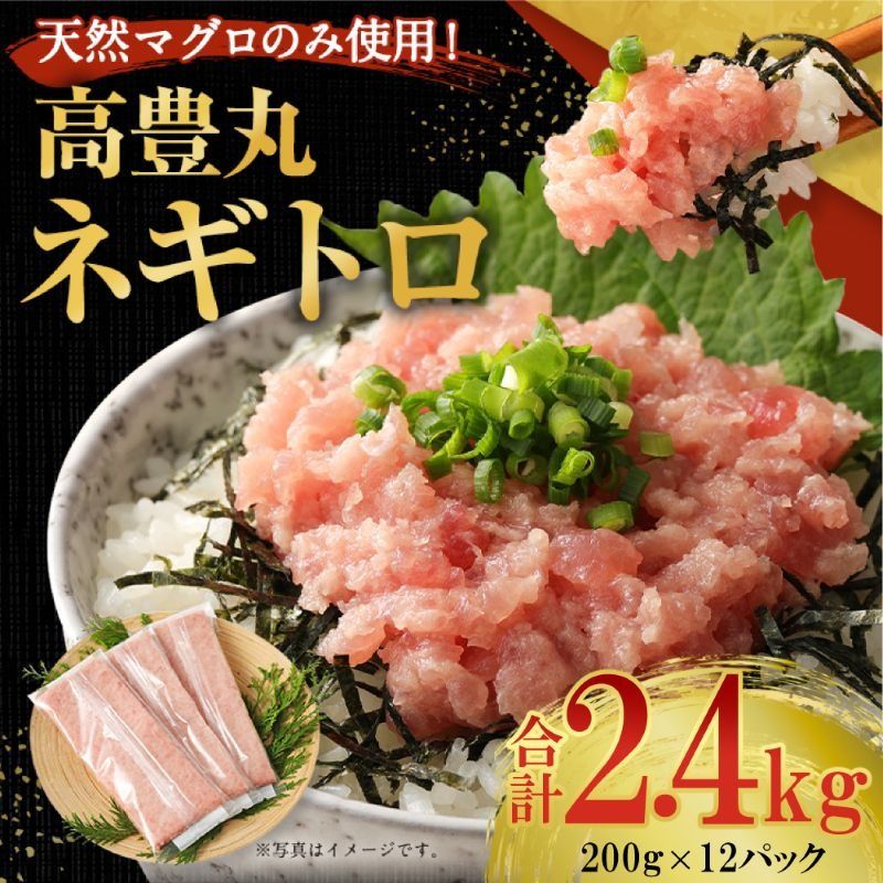 ネギトロ (まぐろたたき) 2.4kg (200g×12パック) 訳あり 天然まぐろ 高品質 ねぎとろ マグロ 鮪 まぐろ たたき まぐろのたたき 訳あり おかず 魚介 魚 寿司 すし 海鮮 小分け 海鮮丼 手巻き寿司 冷凍 故郷納税 送料無料 室戸 ngt