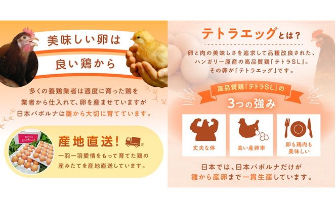 【J3-015】テトラエッグ(40個/月)【12ヵ月定期便】