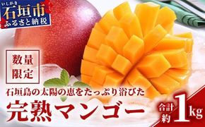 【2026年発送 先行予約】石垣島のマンゴー 約1kg 【沖縄県 石垣市 産地直送 旬 石垣島産 マンゴー 完熟マンゴー アーウィン種マンゴー】申し込みは今のうちに！フルーツ先行予約 HI-1