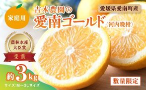 【先行予約】吉本農園の愛南ゴールド（河内晩柑）家庭用約3kg　＜柑橘 希少 果物 国産 フルーツ みかん 蜜柑  家庭用 和製 グレープフルーツ ブランド 果実 ビタミン 愛媛県 鬼北町＞ ※2025年4月上旬～8月上旬頃に順次発送予定