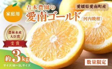 【先行予約】吉本農園の愛南ゴールド（河内晩柑）家庭用約3kg　＜柑橘 希少 果物 国産 フルーツ みかん 蜜柑  家庭用 和製 グレープフルーツ ブランド 果実 ビタミン 愛媛県 鬼北町＞ ※2025年4月上旬～8月上旬頃に順次発送予定