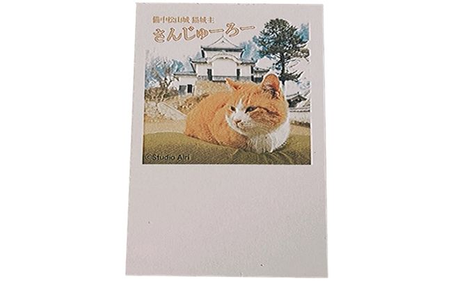 備中松山城猫城主さんじゅーろーレジンキーホルダー＆ポストカード 雑貨 小物 オス猫 セット 名物 地域 どうぶつ アニマル 猫グッズ 猫モチーフ ハンドメイド 保護猫 