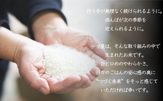 食べたいお米 Alatana 米 「一ツ星」 白米 10kg 精米 お米