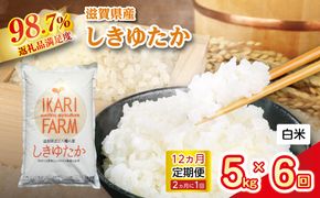 【新米】令和8年産　すっごいもちもち「しきゆたか」白米定期便　12カ月で5kgを6回お届け（2カ月に1回）【C012W2】（滋賀県　近江八幡市）