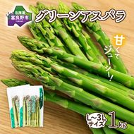 【2027年春発送】富良野産 アスパラ 約1kg  贅沢な太め (L～3Lサイズ混合) 中山農園 野菜