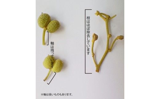  冷凍 ぶどう 生実山椒 200g あく抜き処理済み / 山椒 さんしょう 香辛料 調味料 薬味 冷凍 ぶどう山椒  和歌山県 紀美野町 実山椒【twn044-cmi-200】