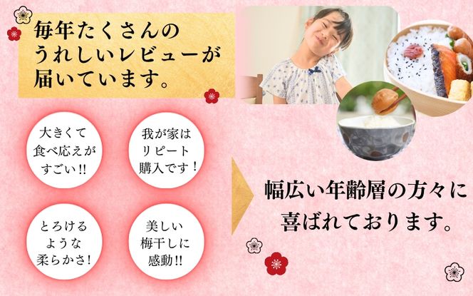 【贈答用】白干梅干し1kg　無添加【化粧箱入り】  / 梅干 梅干し 梅 南高梅 人気 大粒【inm701C】
