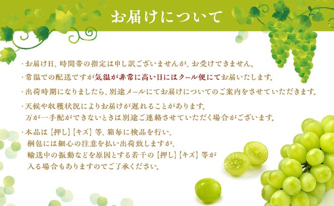 ぶどう 2026年 先行予約 シャイン マスカット 1房 瀬戸ジャイアンツ 1房 各約700g 詰合せ 贈答箱 ブドウ 葡萄 フルーツ 果物 岡山 赤磐市産 農マル園芸 あかいわ農園 種なし 皮ごと 甘い 