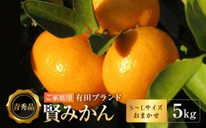 有田のブランド「賢みかん」5kg(S～Lサイズおまかせ）ご家庭用［2026年11月中旬頃より順次発送］ BZ017