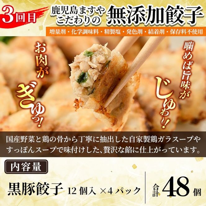 a968 ＜コラボ定期便＞姶良市おすすめ！人気のお惣菜定期便(全4回)【やまさき・AKR Food Company・鹿児島ますや・BAKERY chata】姶良市 鹿児島 コラボ 焼き鳥 焼鳥 やきとり ハンバーグ 餃子 ギョーザ ぎょうざ カレーパン パン 惣菜 総菜 おかず 時短