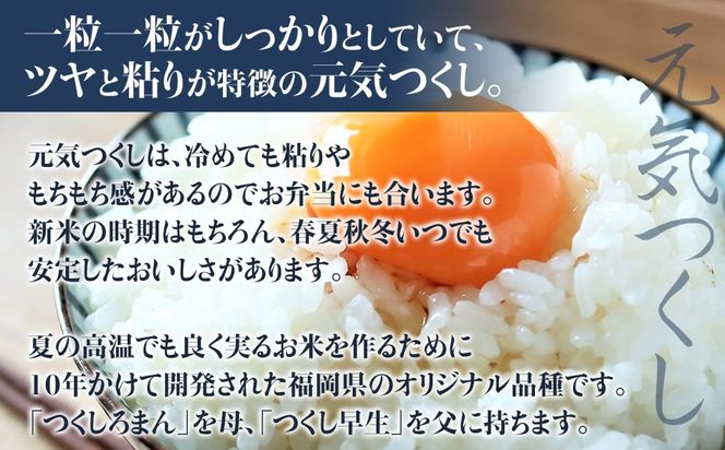 令和6年産「乙女のお米」元気つくし １０kg