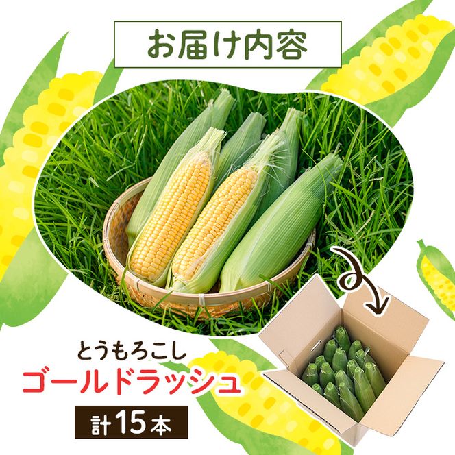 ＜先行予約受付中！2026年5月下旬以降順次発送予定＞とうもろこし ゴールドラッシュ(15本) 国産 旬 野菜 青果 トウモロコシ 期間限定【笹原正樹】akn094-01
