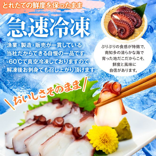 地だこボイル ５パック (100g×5) 冷凍 たこ 海鮮 海産物 たこ飯 たこ焼き アヒージョ たこ唐揚げ おつまみ お酒 ご飯 おかず 自家製チョジャン付き おすすめ 人気 愛知県 南知多町