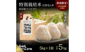 【通年受付】≪令和8年産≫ 農家直送！魚沼産コシヒカリ特別栽培「白羽毛の米」玄米(5kg×1袋) 5kg お米 ご飯 安心