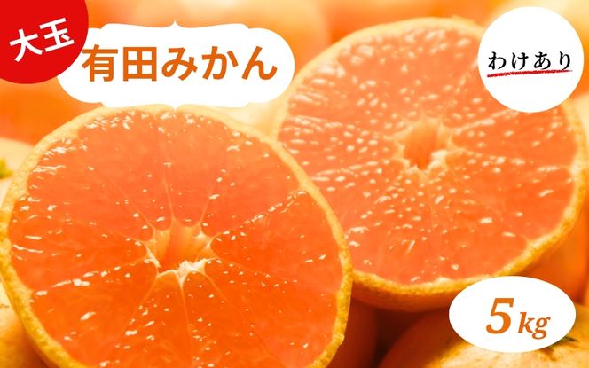 和歌山県産 有田みかん 大玉5kg 2L～3L 訳あり ※2026年10月中旬～2027年1月中旬頃に順次発送予定【smt001A】