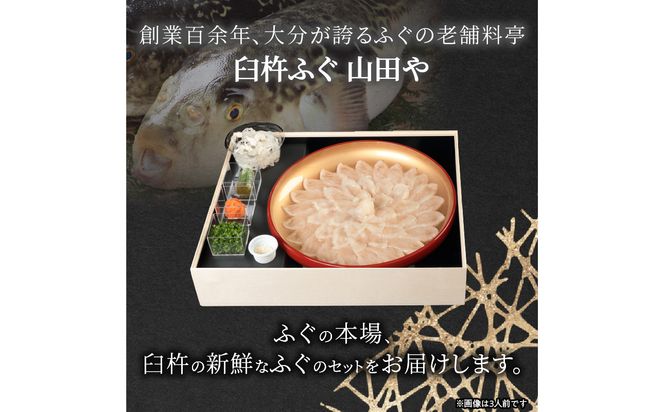 【E05017】臼杵ふぐ山田や　ふぐ刺身セット　2人前