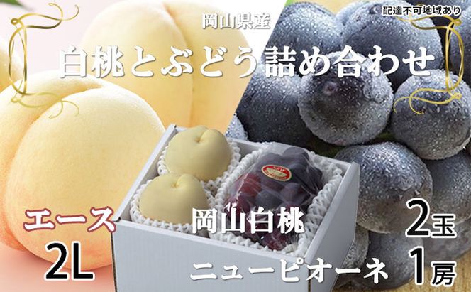 桃 ぶどう 2026年 先行予約 岡山 白桃 エース 2玉×約250g（2Lサイズ、早生種・中生種）ニュー ピオーネ 約500g×1房  詰め合わせ 岡山県産 フルーツ 
