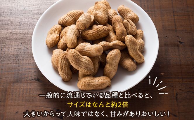 ゆで落花生おおまさり150ｇ×10ｐセット 142069_DV015