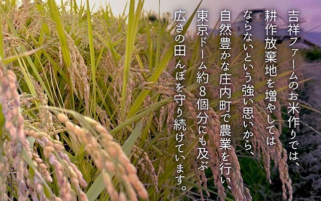 yR`cSzg˃t@[ Y  9Mtg 300g×9 2.7kg 蕨 Hה