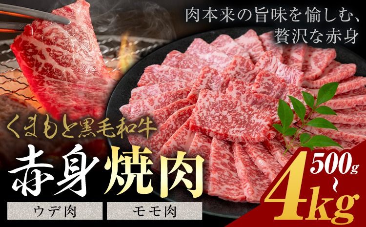 黒毛和牛 赤身 ウデモモ 焼肉 500g 1kg 2kg 4kg[30営業日以内に出荷予定(土日祝除く)]熊本県 氷川町 牛 牛肉 和牛 ブランド牛---hkw_26_lcl_407_500g---