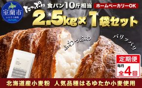 【毎月定期便】北海道産 はるゆたかブレンド小麦粉 シルバーライズ（パン用強力粉）2.5kg 全4回 MROBI026