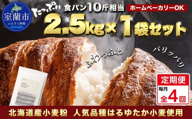 【毎月定期便】北海道産 はるゆたかブレンド小麦粉 シルバーライズ（パン用強力粉）2.5kg 全4回 MROBI026