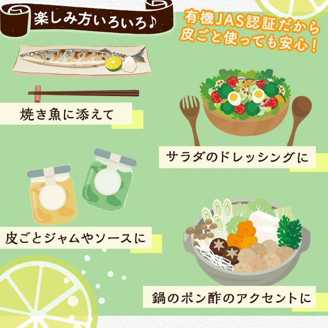 数量限定！有機JAS オーガニックライム(約1kg) 国産 果実 果物 フルーツ 柑橘 デザート 期間限定 有機栽培 健康志向 【中村農場】akn084-12