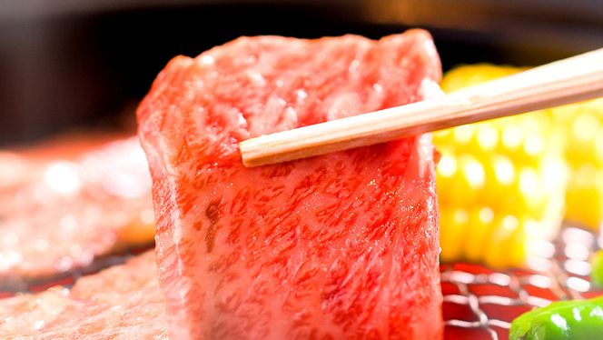 常陸牛 【和牛セレブ】 選べる内容量 焼肉 サーロイン (茨城県共通返礼品） 【2027年1月発送開始】 霜降り 国産 ブランド牛 冷凍 焼肉 ステーキ サーロイン 和牛 ギフト ご褒美 記念日 [FK001us00]